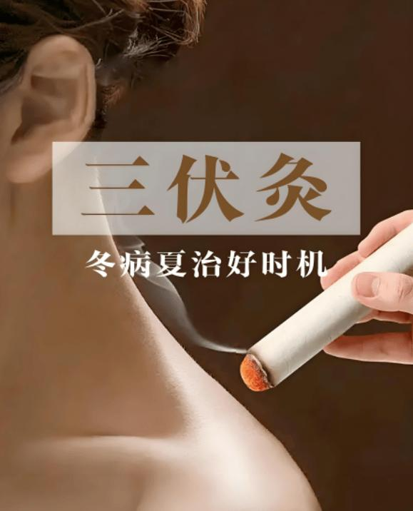 2026三伏时间表出炉！今年中伏长达20天，这份分阶段养生攻略请收好