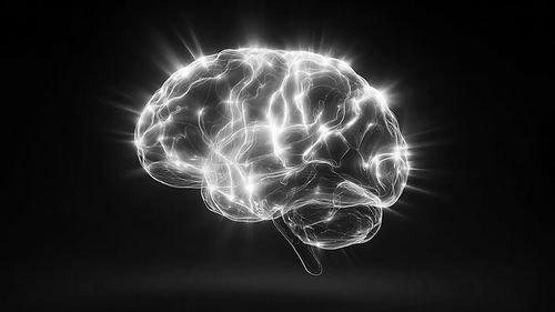 较新研究：维生素C水平或与大脑健康密切相关，缺乏可影响记忆与认知功能