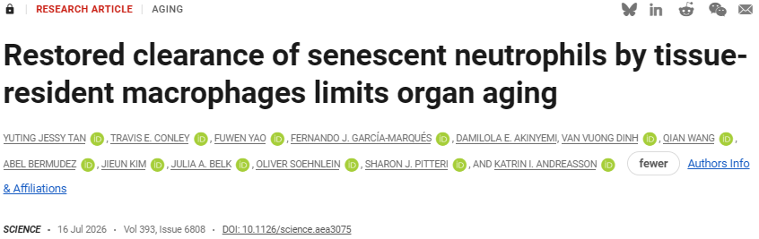 Science重磅发现：阻断单一受体可让多器官同步重回年轻状态——找到全身衰老的免疫总开关