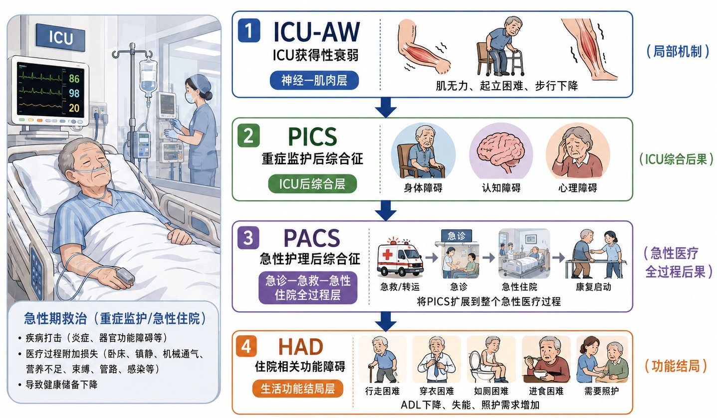 【老年医学】从疾病控制到健康净获益：老人急重症治疗的六维决策