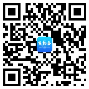 年轻人为什么开始关注鱼油?不是因为年龄,而是饮食方式变了